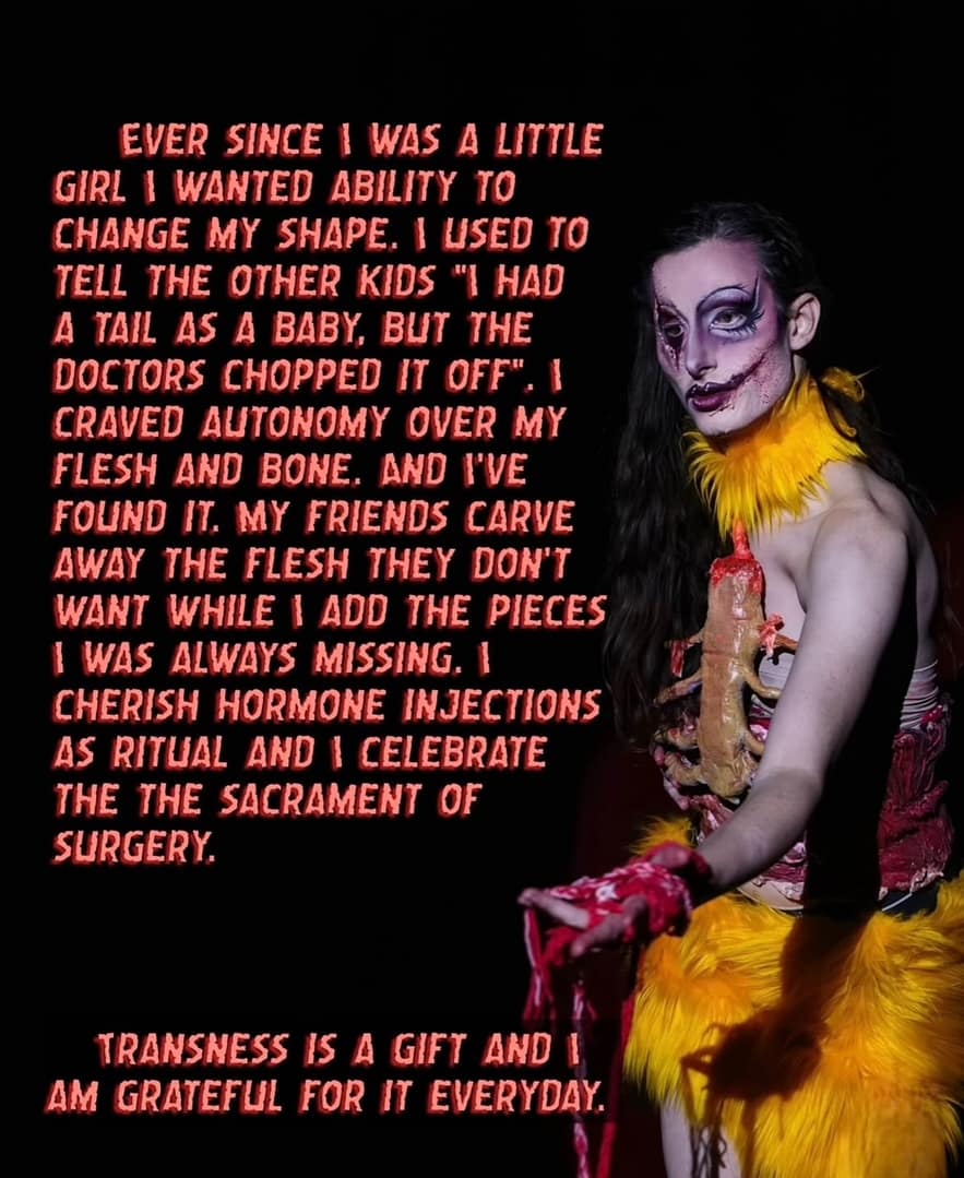 the-new-flesh-portrait-cover