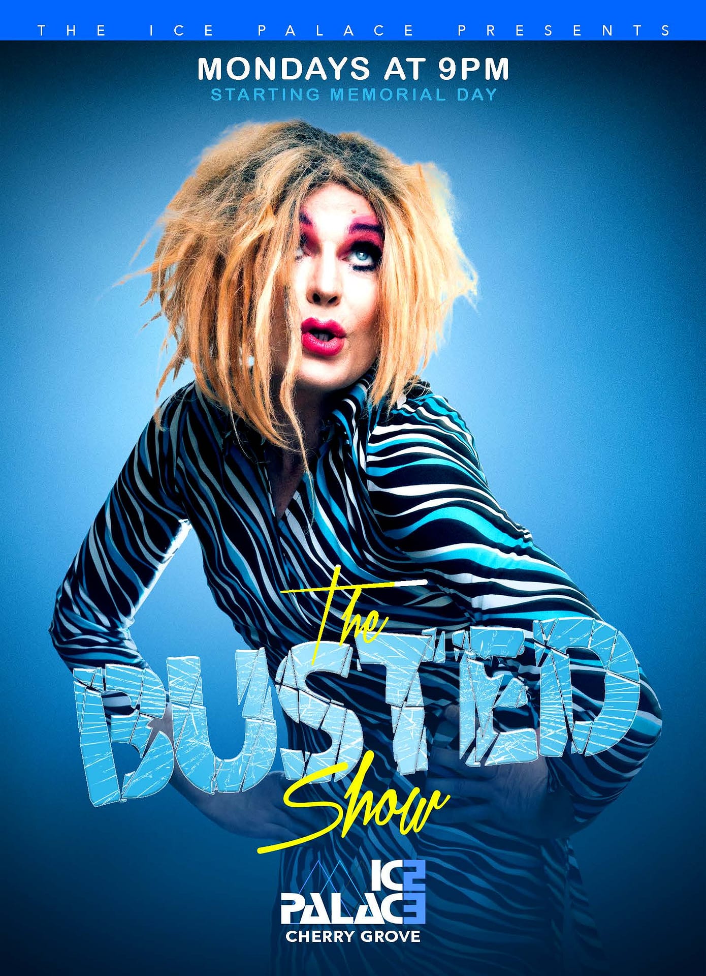 The Busted Show
